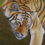 Artist: Art Vale - Artwork: the tree hugger sumatran tiger